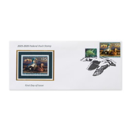 Spectacled Eiders 2025-2026 Silk Cachet